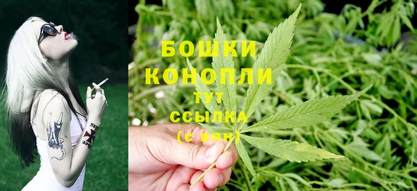 ПСИЛОЦИБИНОВЫЕ ГРИБЫ Лиски