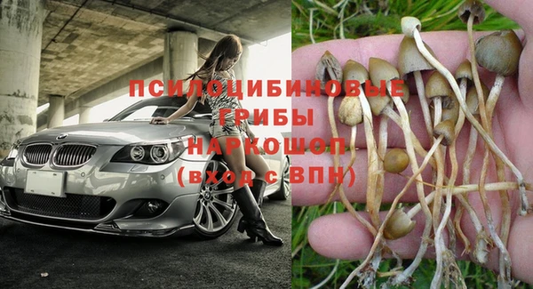 ПСИЛОЦИБИНОВЫЕ ГРИБЫ Лиски