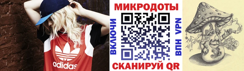 что такое наркотик  Мичуринск  Галлюциногенные грибы прущие грибы 