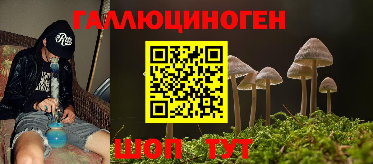 Мичуринск  Псилоцибиновые грибы Magic Shrooms  Вход с VPN 
