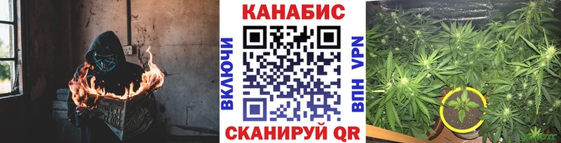 цена наркотик  Мичуринск  Шишки марихуана сатива 